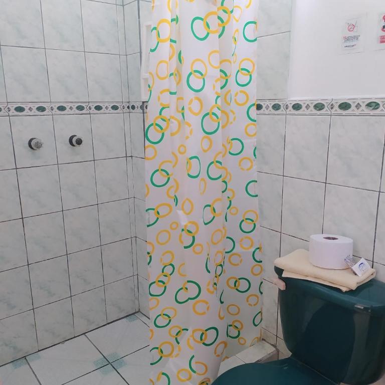 Hostal Los Flamencos - Budget Double Room - 1