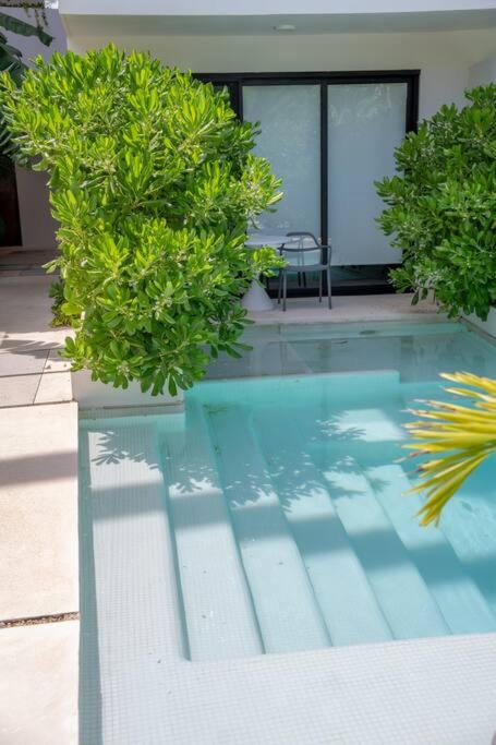 Amplio departamento con alberca swim-up - Apartamento de 1 dormitorio - 7