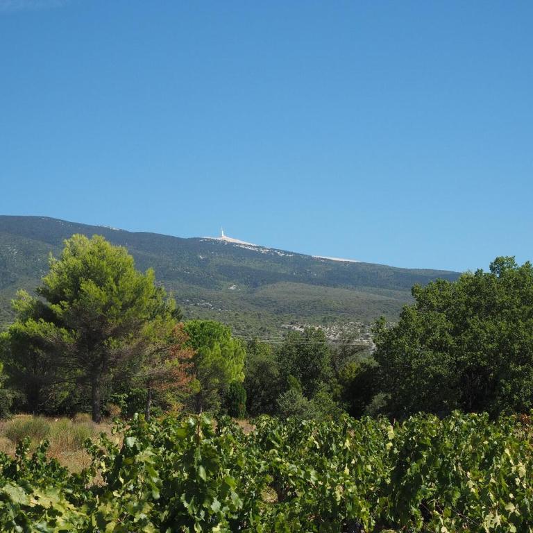 Holiday Home near Mont Ventoux Ski Resort - Maison de Vacances 3 Chambres - 28