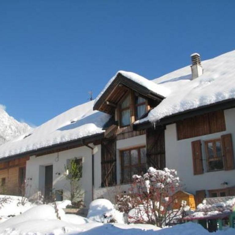 Chalet La Ferme de Noemie - Chalet - 1