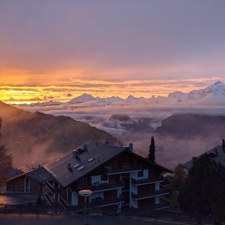 Ramuge A 031 - COSY apartment 6 pers - Appartamento con Vista Montagna - 16