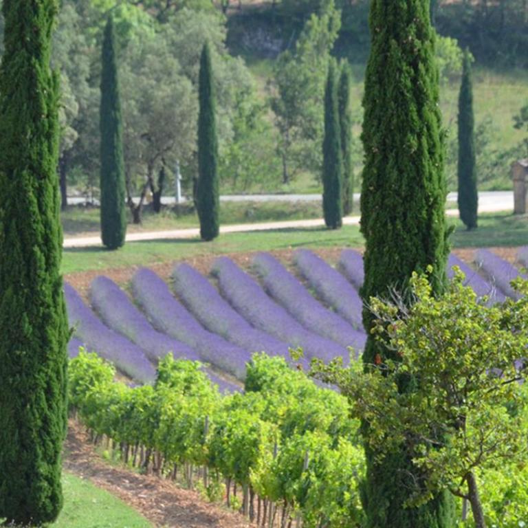 Stunning Cottage with Pool in Provence France - Chambre Double - Vue sur Parc - 16