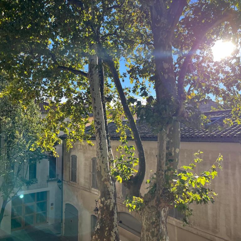 La charmante du Palais 2 chambres - Apartment mit 2 Schlafzimmern - 6