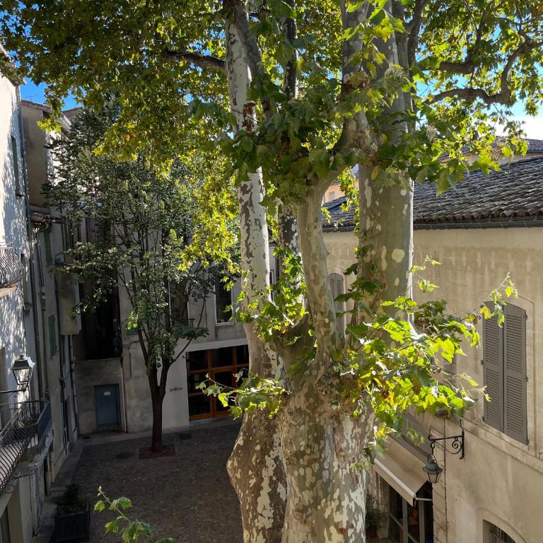 La charmante du Palais 2 chambres - Apartment mit 2 Schlafzimmern - 1