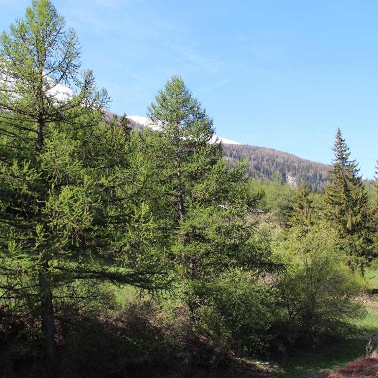 Appartement pour 4 personnes avec piscine, pied des pistes à Val Cenis - FR-1-508-132 - Appartement (4 Adultes) - 5
