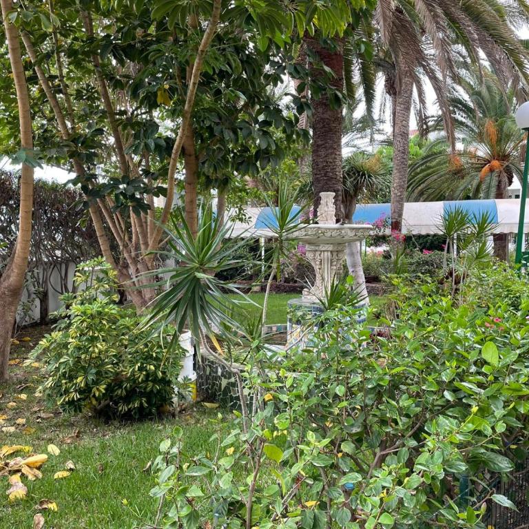 Surycan Tropical Garden Apartment - Apartamento de 1 dormitorio - 34
