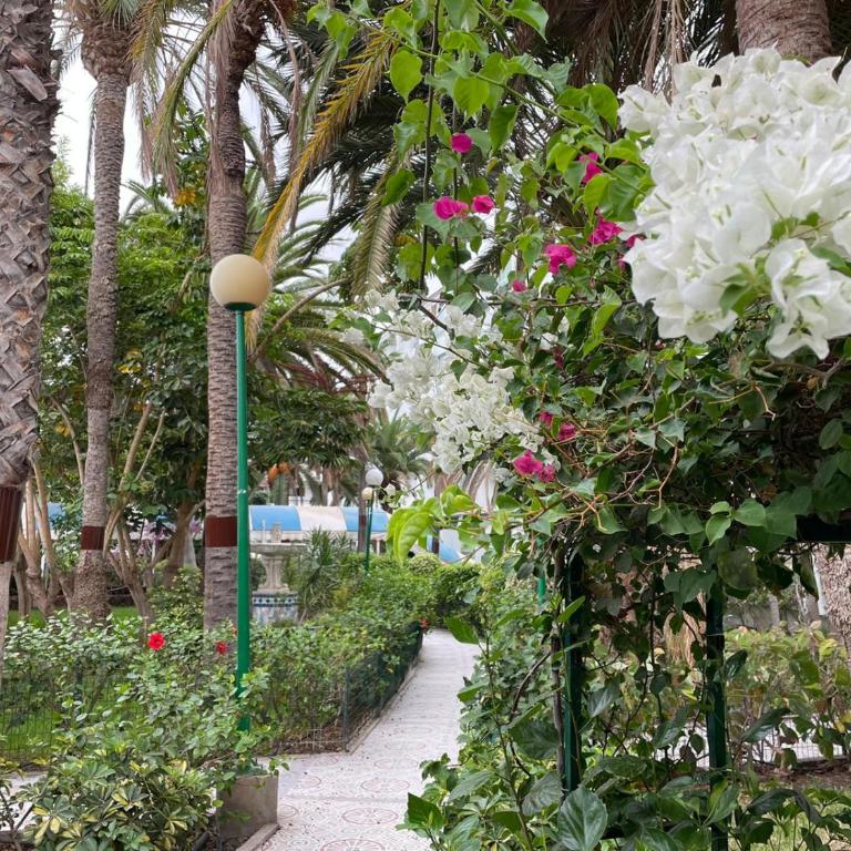 Surycan Tropical Garden Apartment - Apartamento de 1 dormitorio - 30