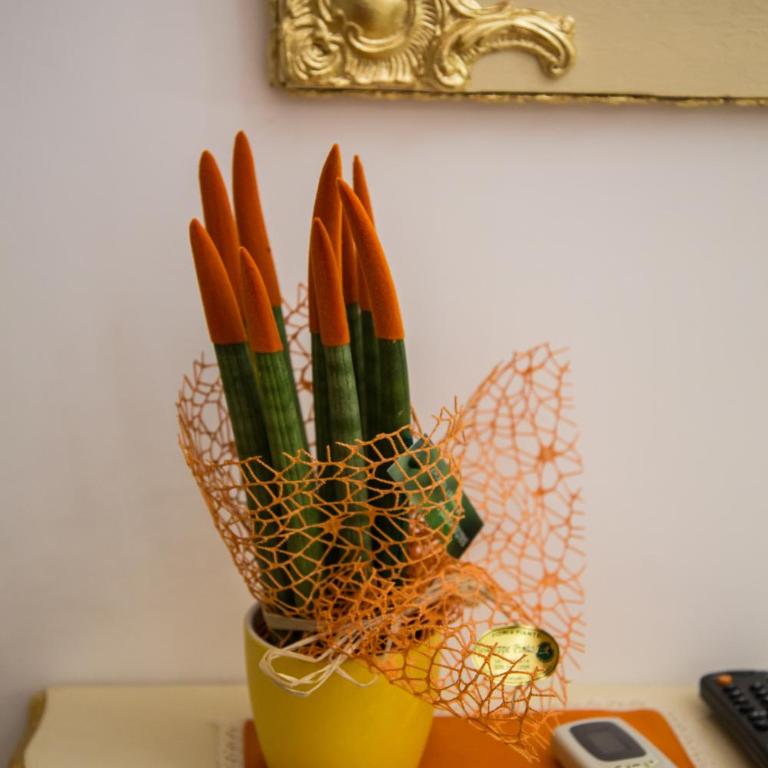 Hotel des Artistes - Superior Double or Twin Room - 8