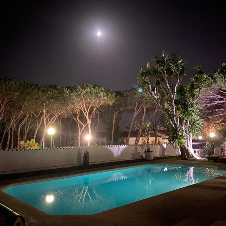 Villa in Puerto Cabopino - Villa - 44