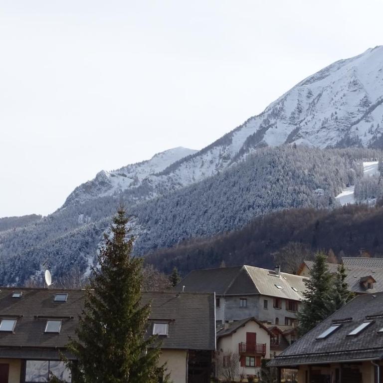 Appartement offrant une magnifique vue des montagnes - Appartement 1 Chambre - 14