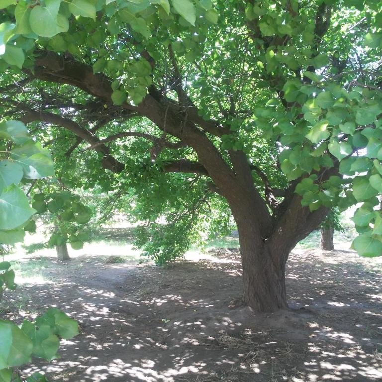 El Canadiense Hospedaje - One-Bedroom House - 51