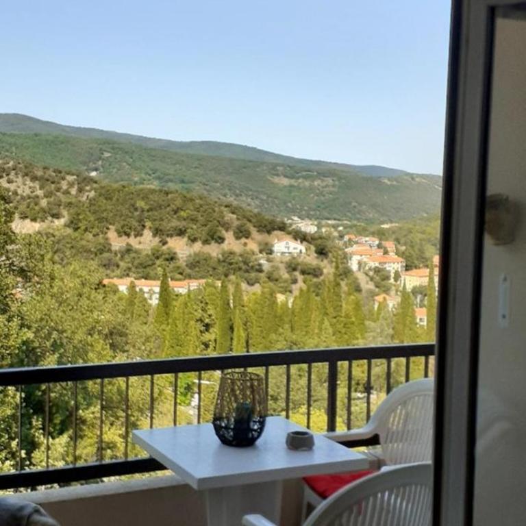 50m des cures accès direct par ascenseur joli studio Gaëlle grand balcon vue dégagée libre jusqu'au 19 octobre - Appartement 1 Chambre - 1