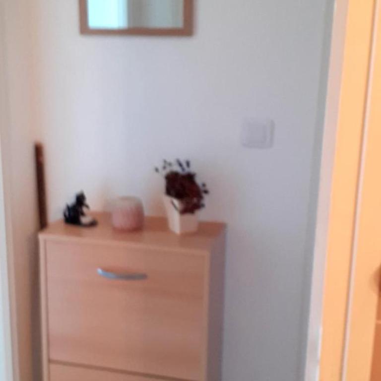 50m des cures accès direct par ascenseur joli studio Gaëlle grand balcon vue dégagée libre jusqu'au 19 octobre - Appartement 1 Chambre - 47