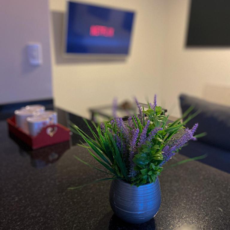 Ocean Apartments - Apartamento de 1 dormitorio - 4