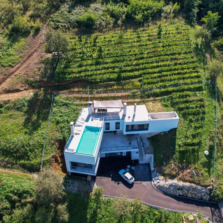 Villa Wineyard - VinoGrad - Vila - 27