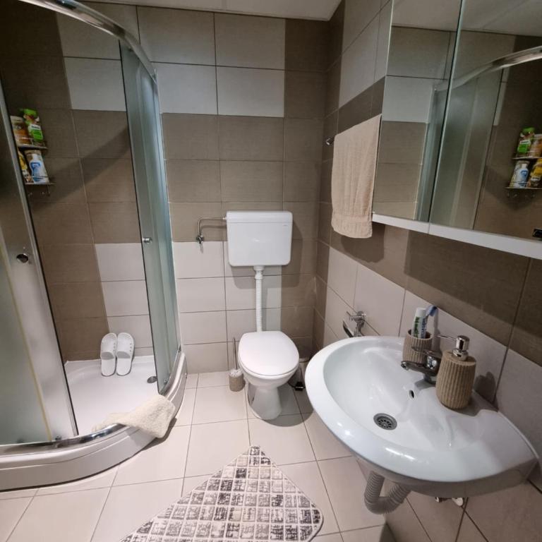 AS Delux Apartmani - Apartman sa Pogledom na Planinu - 22
