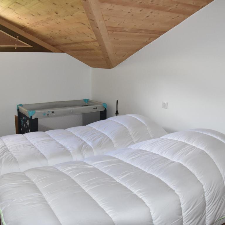 Duplex 4 pièces, 2 étoiles, proche du centre, max 6 pers. - FR-1-464-210 - Appartement - 4