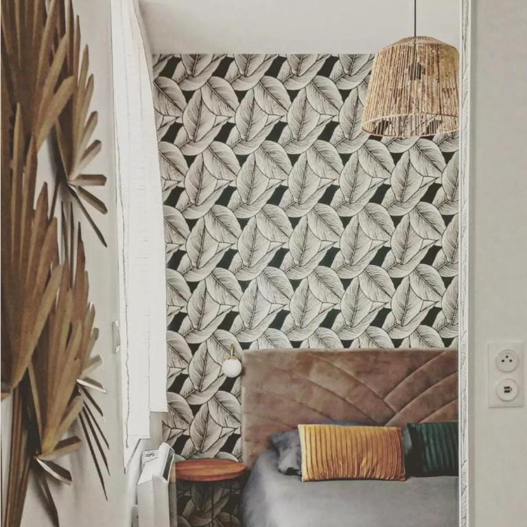 Désirée Logement Cosy et Charmant 1 er étage - Appartement 1 Chambre - 3