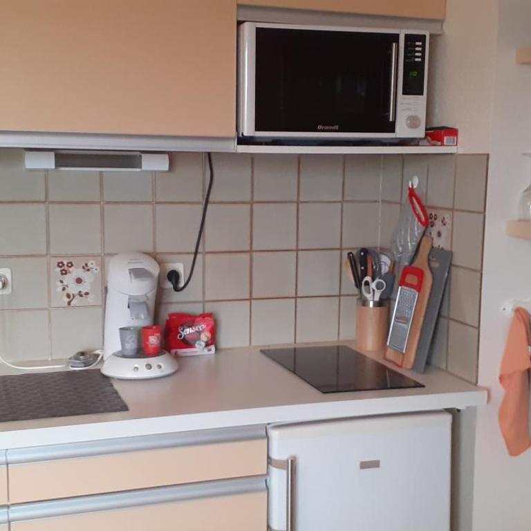 50m des cures accès direct par ascenseur joli studio Gaëlle grand balcon vue dégagée libre jusqu'au 19 octobre - Appartement 1 Chambre - 43