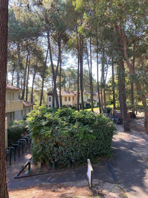 Appartement en résidence de vacances - Apartamento de 1 dormitorio - 17