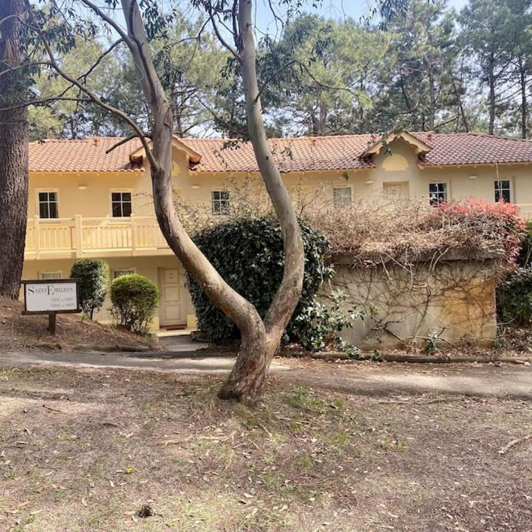 Appartement en résidence de vacances - Apartamento de 1 dormitorio - 16