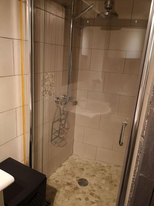 Coquet T1 hyper centre - Appartement 1 Chambre - 11