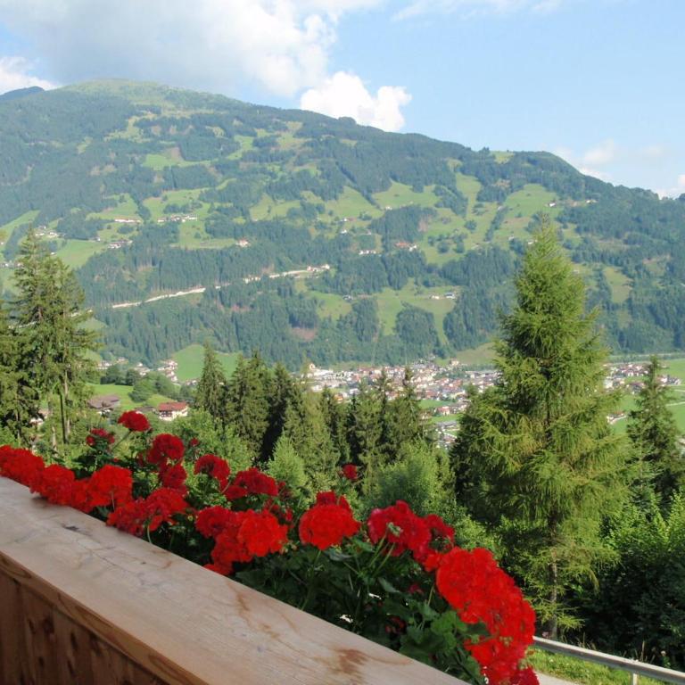 Landhaus Alpenjäger - Apartment mit 4 Schlafzimmern - 11