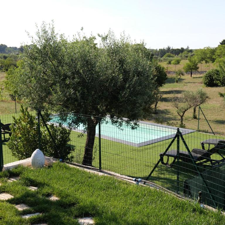 Il Borgo Delle Querce Villa Fichi Piscina privata - Casa con 1 Camera da Letto - 37