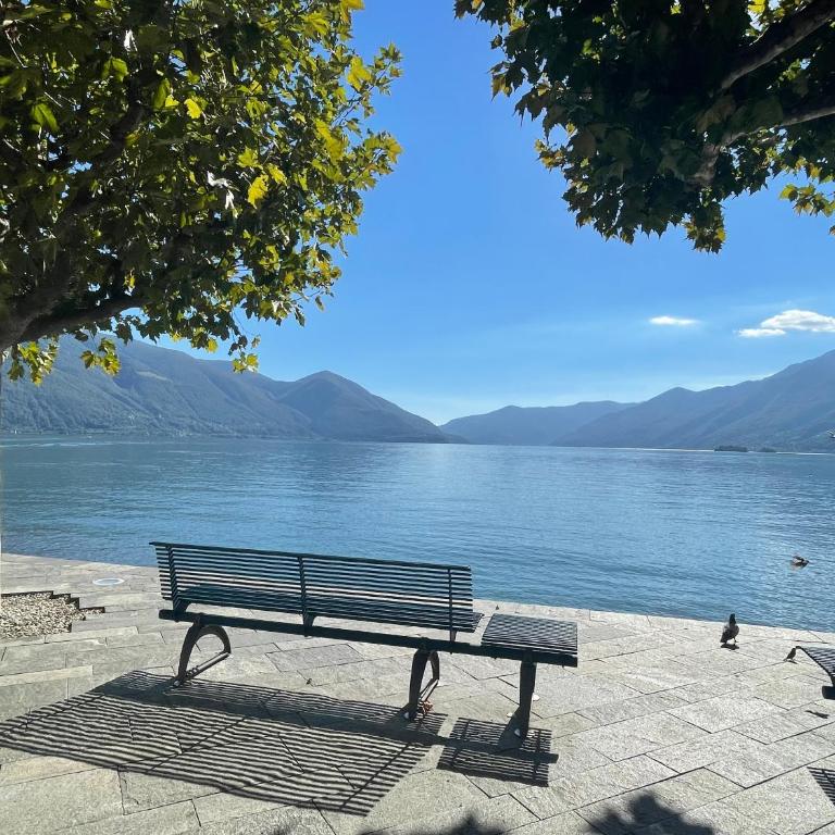 Ascona: Nostrana Apt. 2 - Appartamento con 2 Camere da Letto - 1
