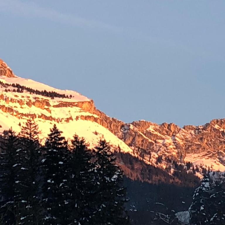 CRÊTES DU VERCORS VUE MAGNIFIQUE - Appartamento con 1 Camera da Letto - 15