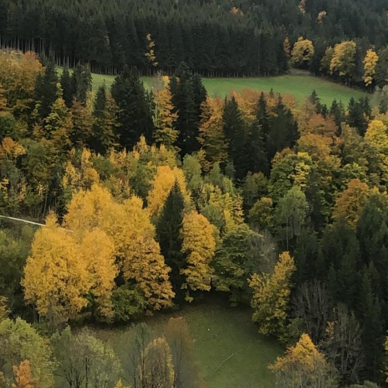 CRÊTES DU VERCORS VUE MAGNIFIQUE - Appartamento con 1 Camera da Letto - 16