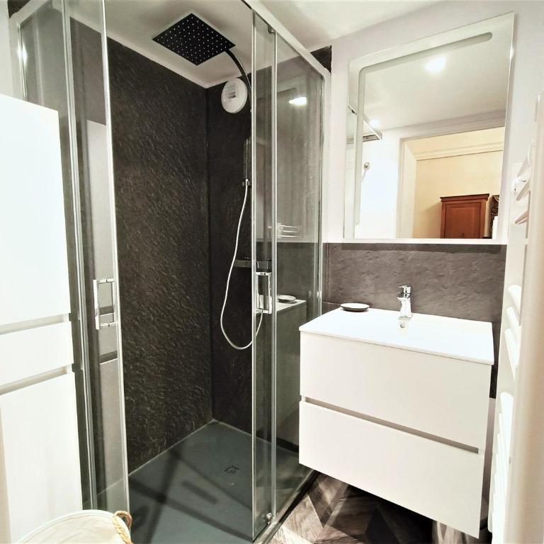 T1 Bis Centre Aix-les-Bains, 2 pers, Animaux admis - FR-1-555-44 - Studio - 3