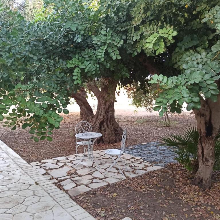 Casa degli Spartani Pina - Appartamento con 2 Camere da Letto - 5