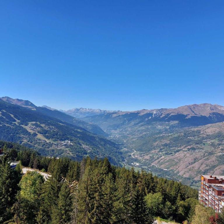 Appartement 2 pièces, 6 personnes, animaux acceptés, WiFi, Arc 1800 - FR-1-411-190 - Appartement (6 Adultes) - 3