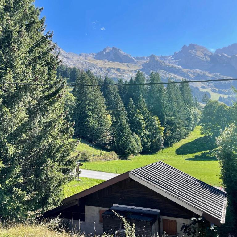PATURAGE Demi chalet 4 chambres - Chalet Superior - 21