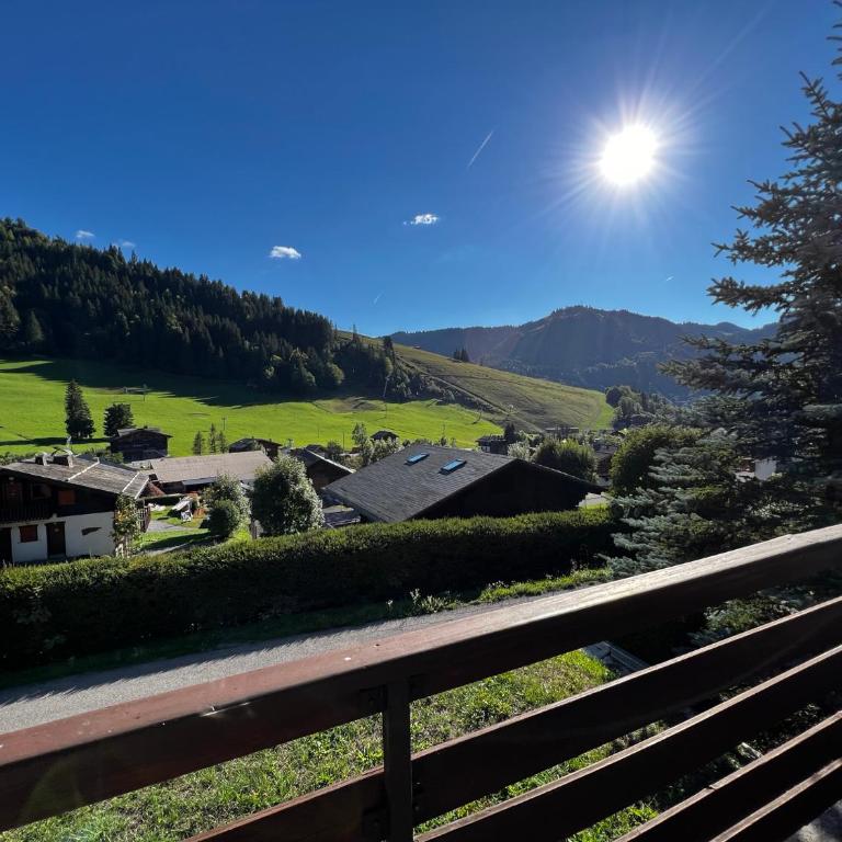 Abricot - Appart dans chalet - Appartement avec Terrasse - 8