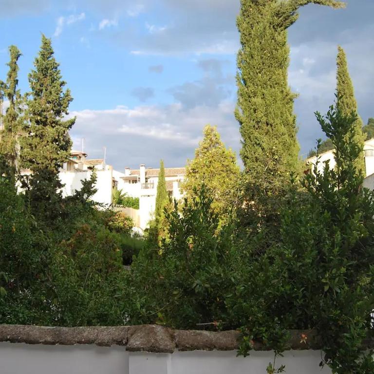 Apartamento Calle Gloria - One-Bedroom Apartment - 13