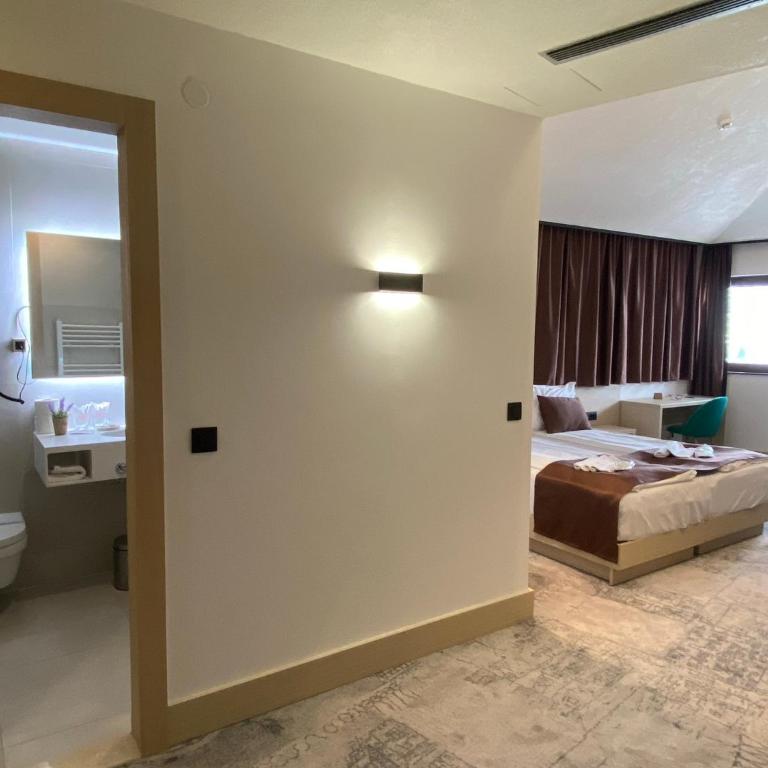 Hotel Boss - Deluks Dvokrevetna Soba sa Bračnim Krevetom/Zasebnim Krevetima - 5