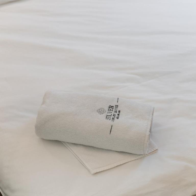 Silver Luxury Suites - Deluks Apartman - 16
