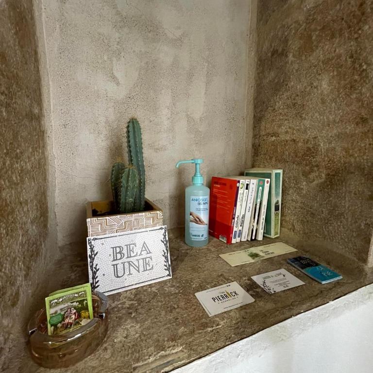 Le Petit Duc - Appartement 1 Chambre - 5