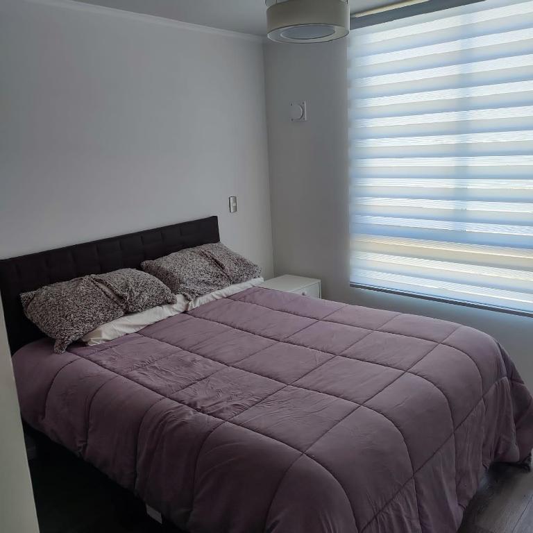 Ecobarrio I - Two-Bedroom Apartment - 2