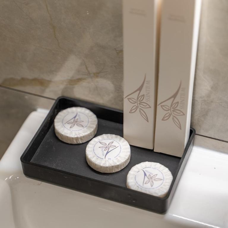 Silver Luxury Suites - Studio sa Terasom - 9