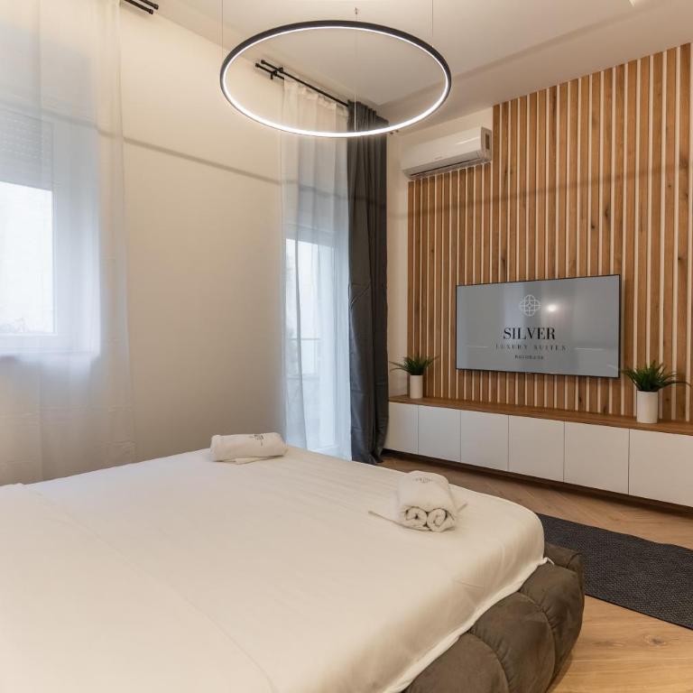 Silver Luxury Suites - Studio sa Terasom - 4