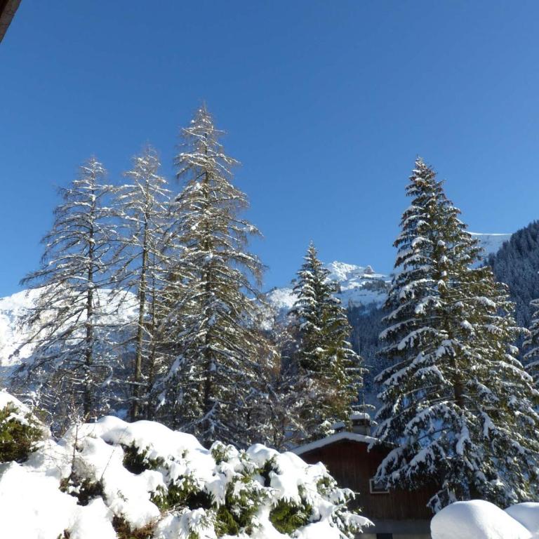 Appartement chaleureux avec parking à La Clusaz - FR-1-437-68 - Apartment (4 Adults) - 2