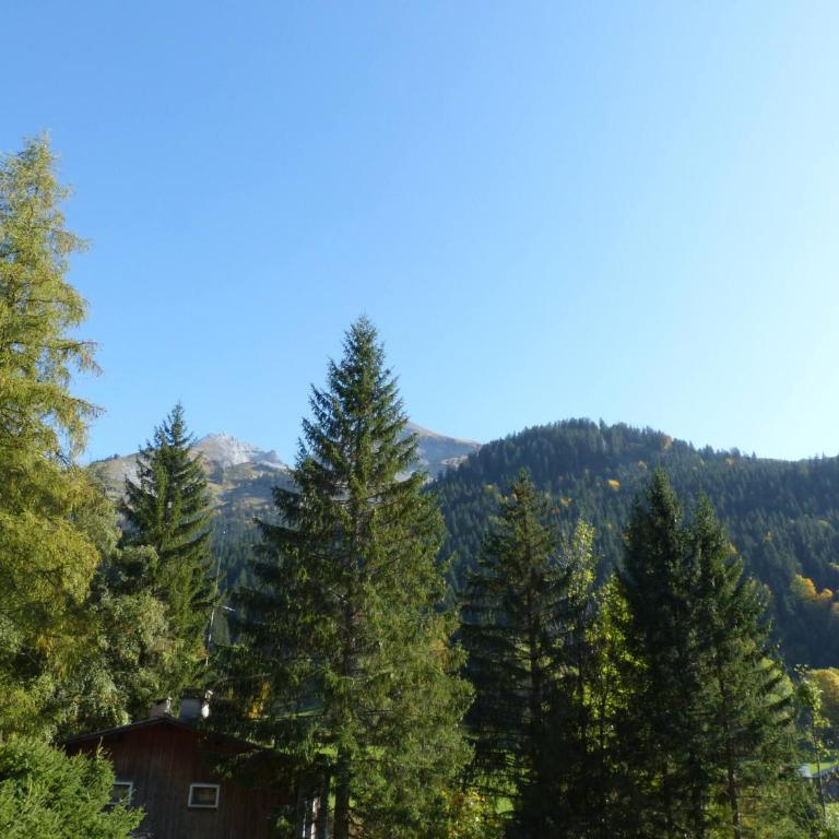 Appartement chaleureux avec parking à La Clusaz - FR-1-437-68 - Apartment (4 Adults) - 4