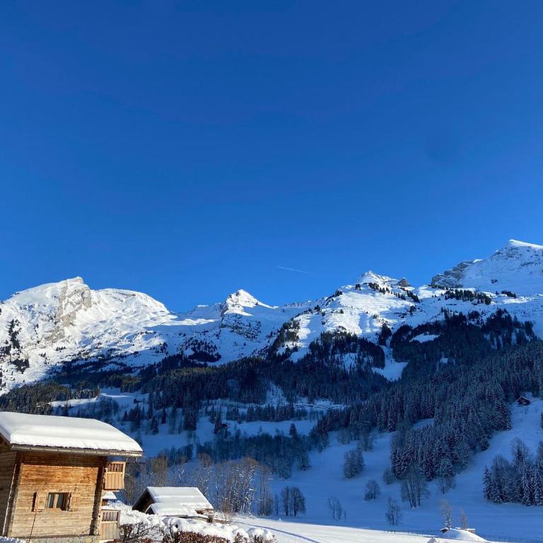 Appartement cosy, vue montagne, 4-6 pers, WIFI, animaux OK - FR-1-437-90 - Appartamento (6 Adulti) - 6