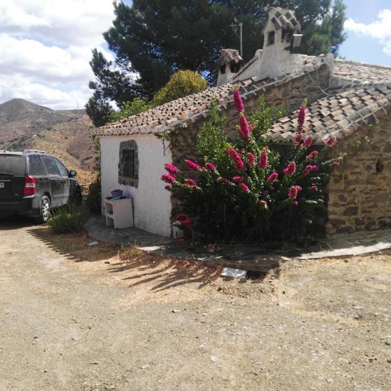 Pinar El Almendra - Casa de 3 dormitorios - 14