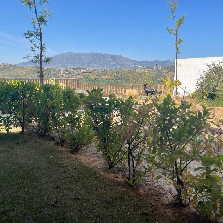 2-bedroom-apartment with a terrace, pool, gym - Apartamento de 2 dormitorios - 22