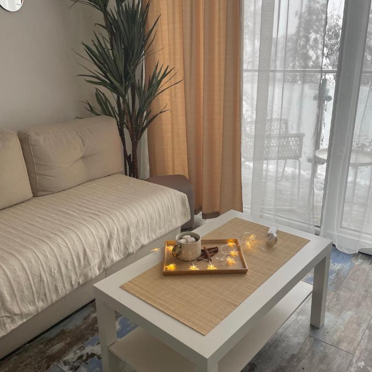 Apartman M Zlatni breg - Apartman sa 1 Spavaćom Sobom - 59