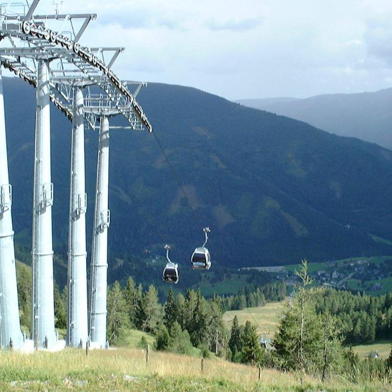 Almhütte Badstube - Ferienhaus - 18